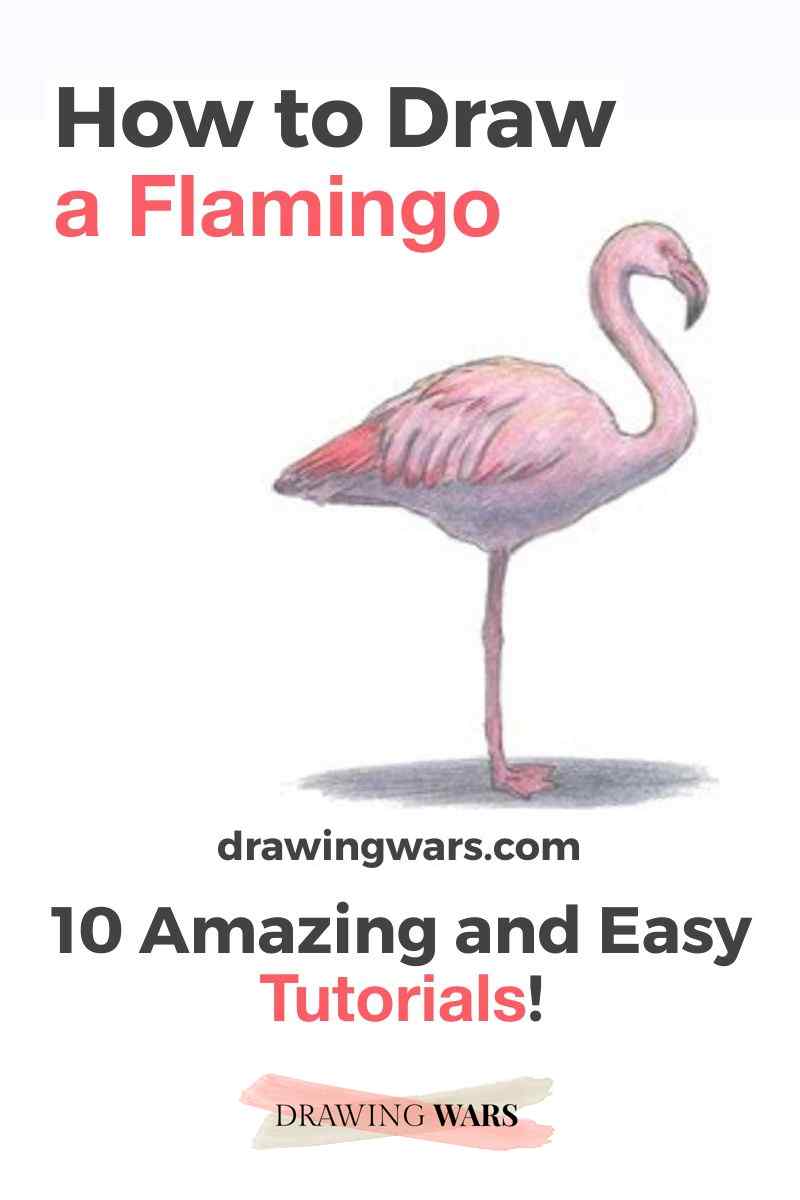 How To Draw A Flamingo Thumbnail