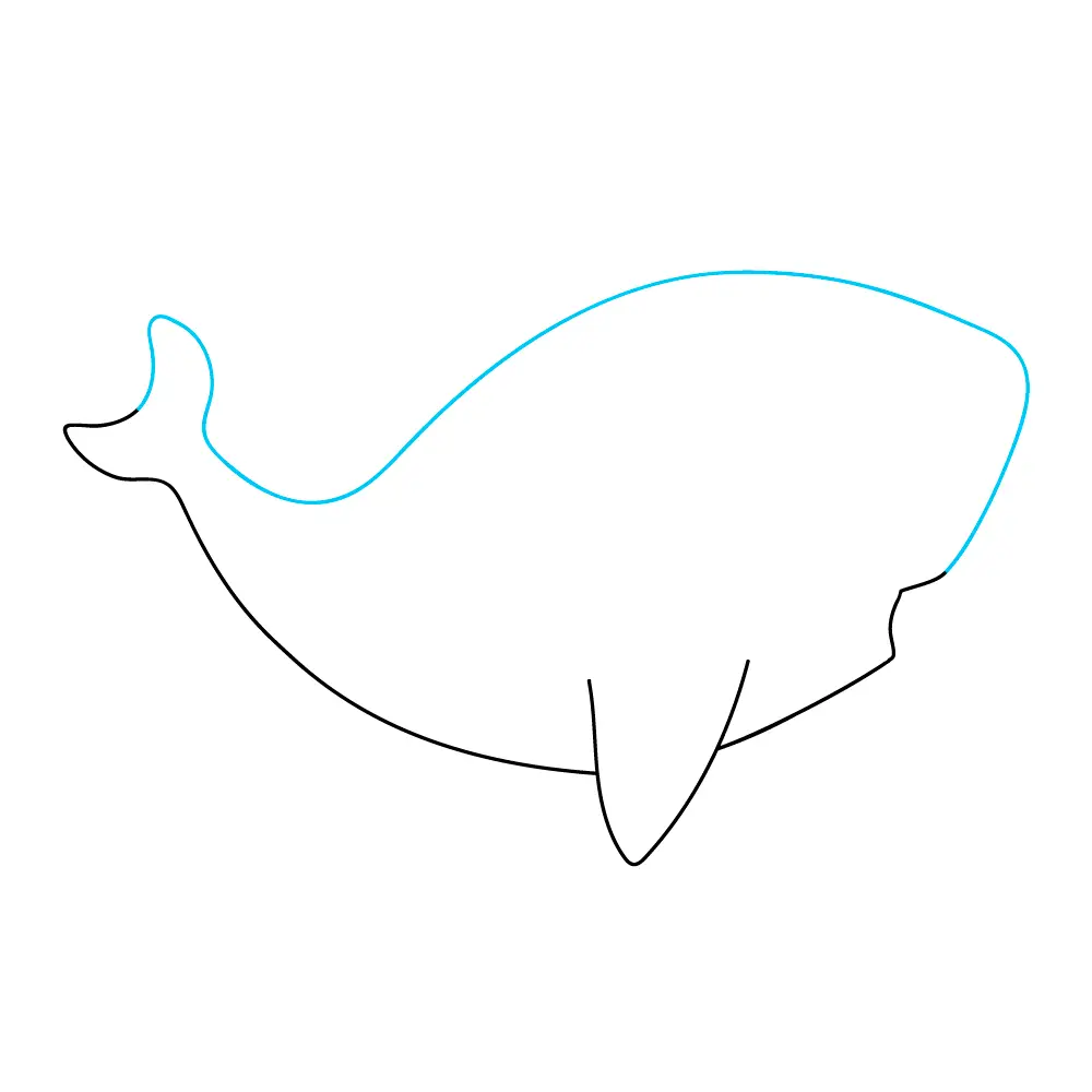 How to Draw A Baby Shark Step by Step Step  3