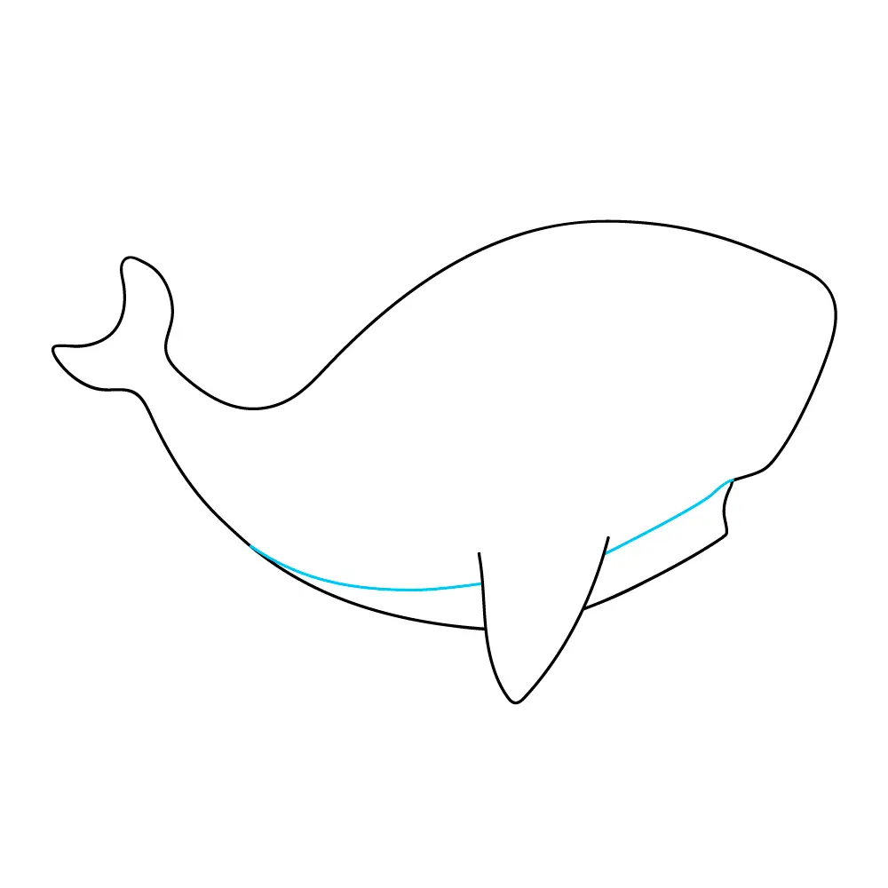 How to Draw A Baby Shark Step by Step Step  4