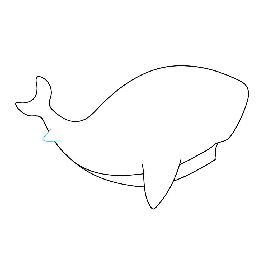 How to Draw A Baby Shark Step by Step Step  5