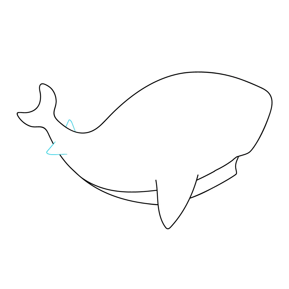 How to Draw A Baby Shark Step by Step Step  6