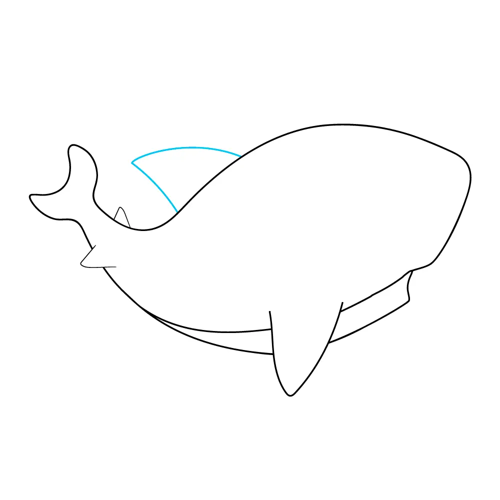 How to Draw A Baby Shark Step by Step Step  7