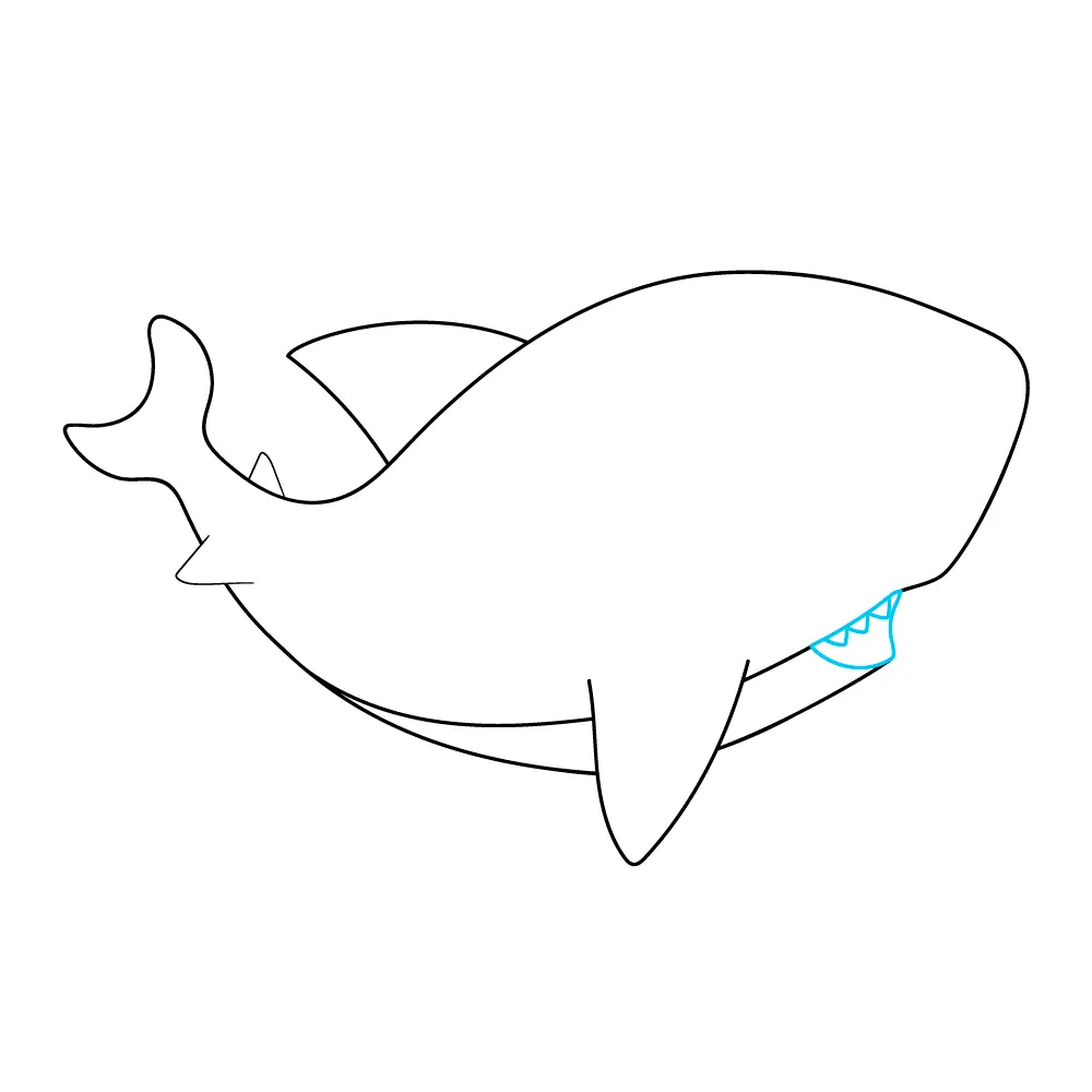 How to Draw A Baby Shark Step by Step Step  8