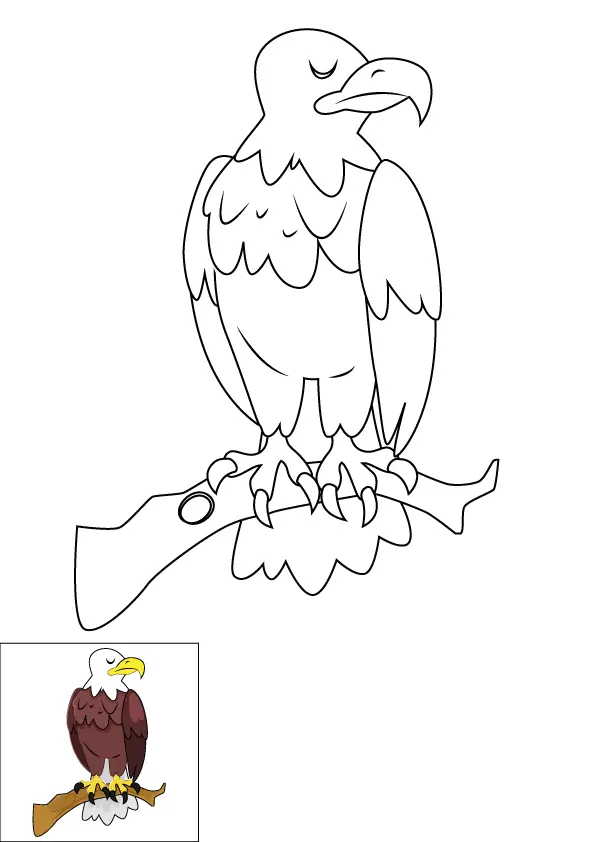 How to Draw A Bald Eagle Step by Step Printable Color