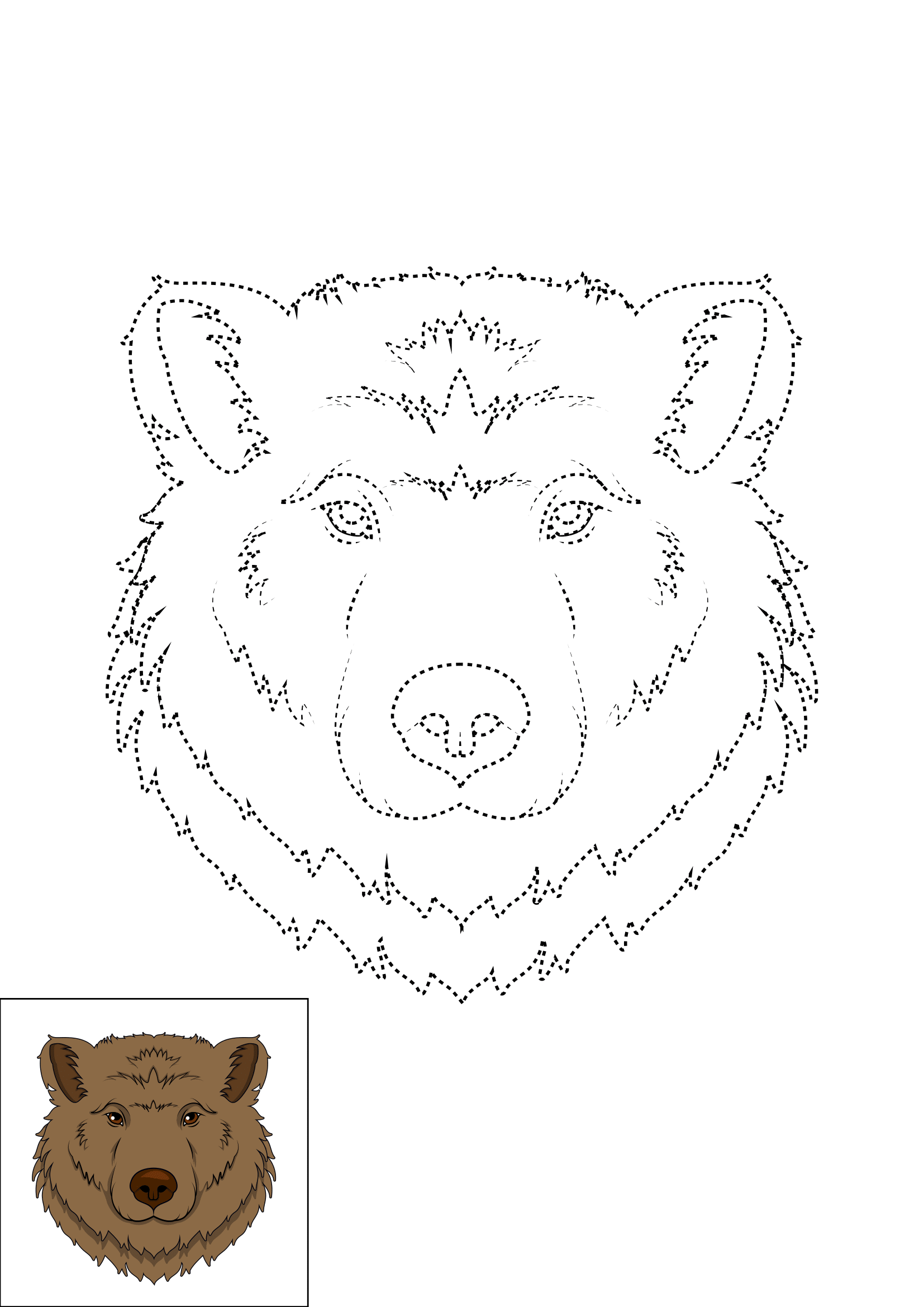 How to Draw A Bear Face Step by Step Printable Dotted