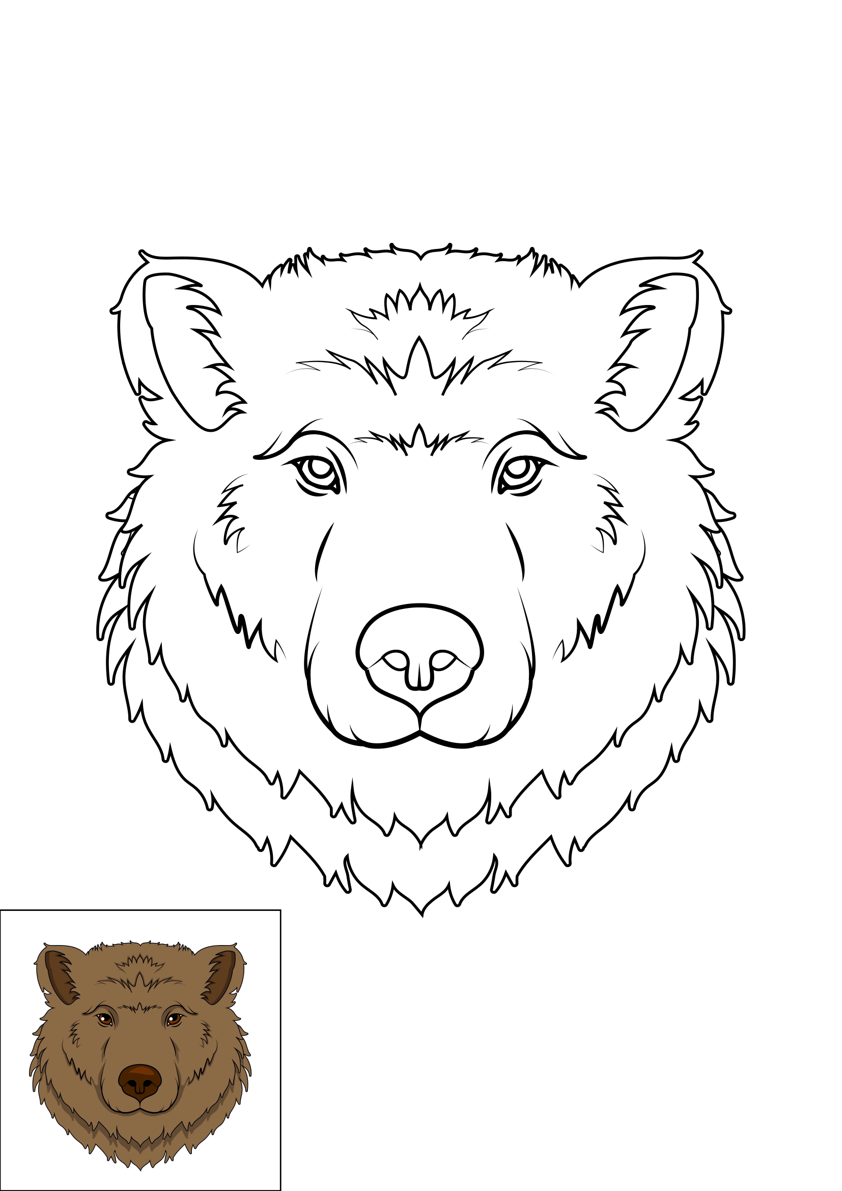 How to Draw A Bear Face Step by Step Printable Color