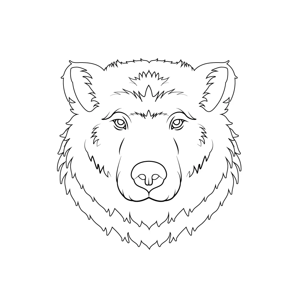 How to Draw A Bear Face Step by Step Step  10