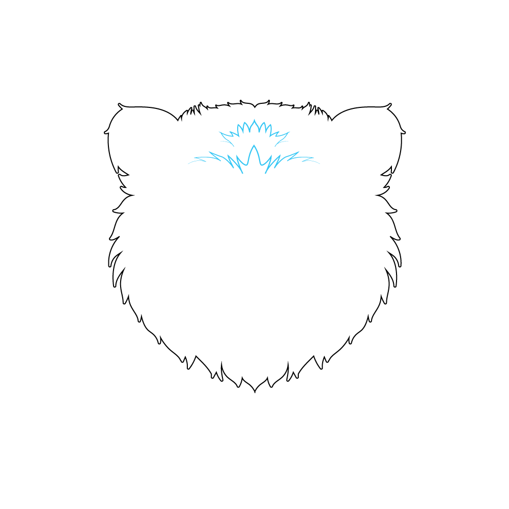 How to Draw A Bear Face Step by Step Step  3