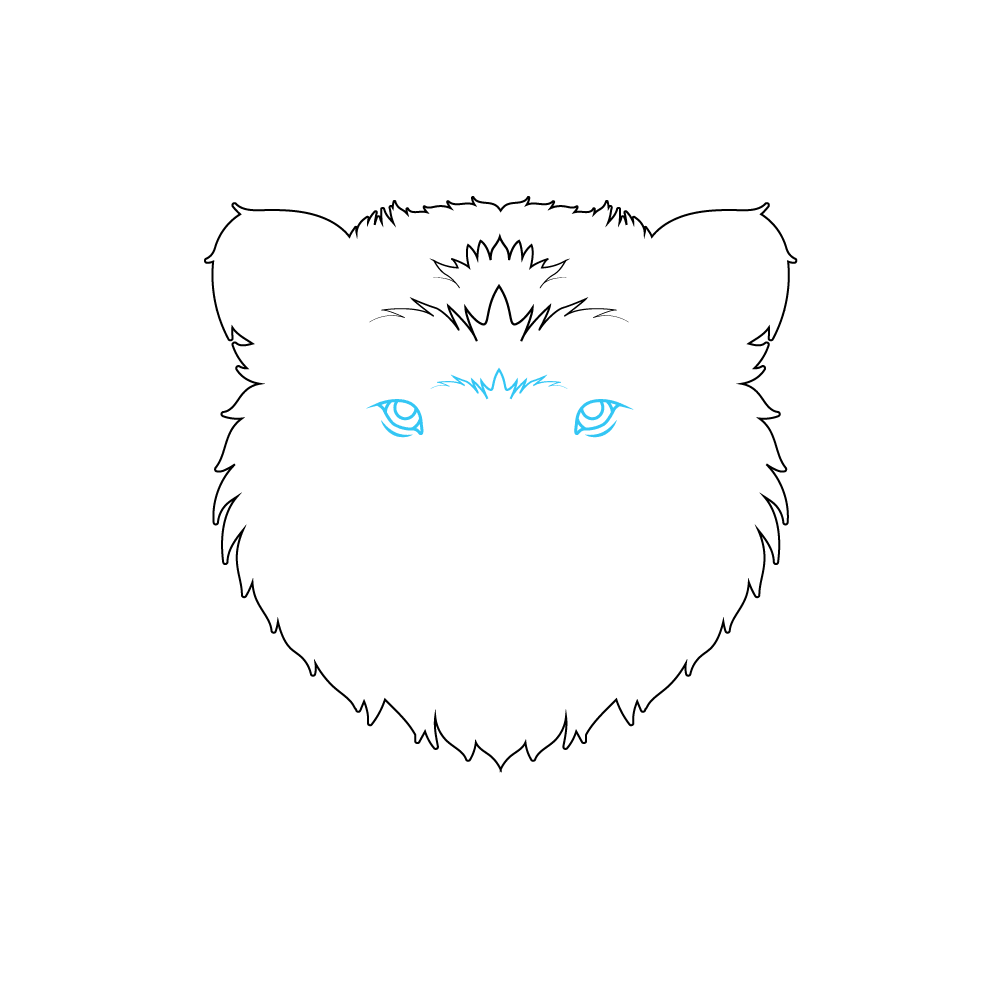 How to Draw A Bear Face Step by Step Step  4