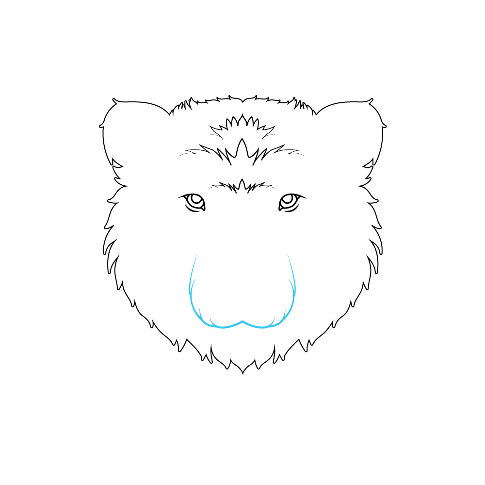 How to Draw A Bear Face Step by Step Step  5