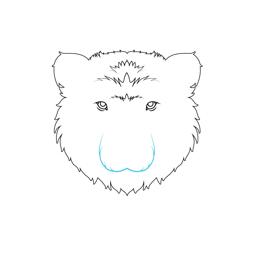 How to Draw A Bear Face Step by Step Step  5