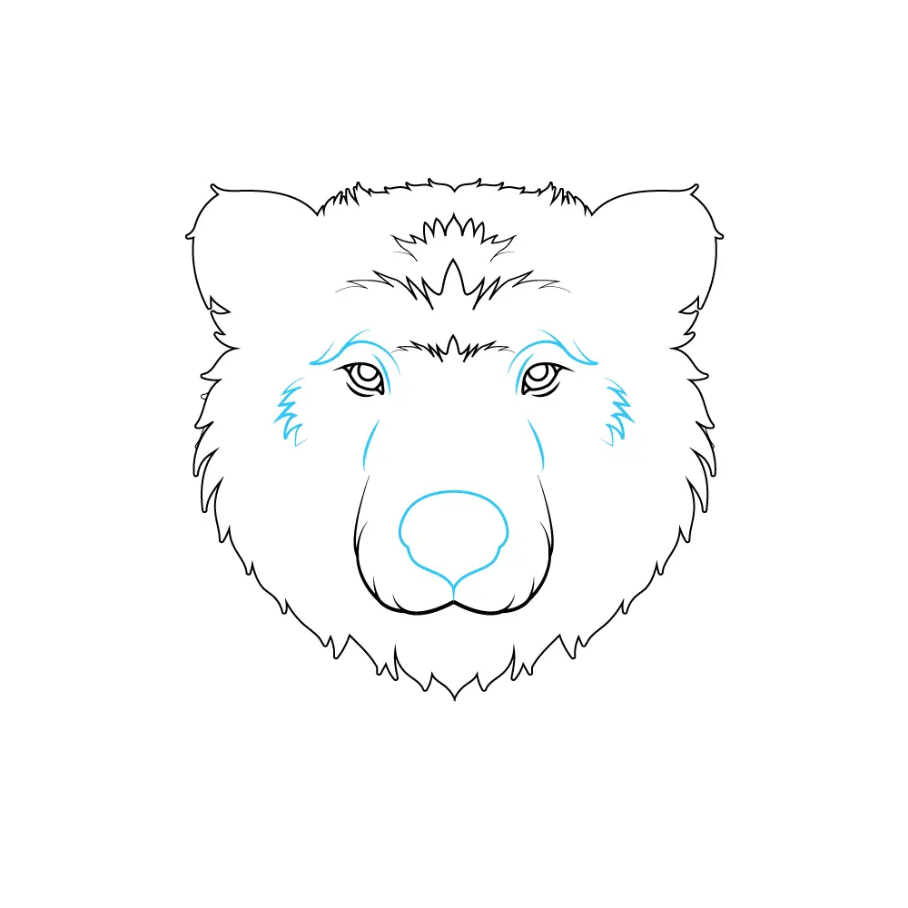 How to Draw A Bear Face Step by Step Step  6