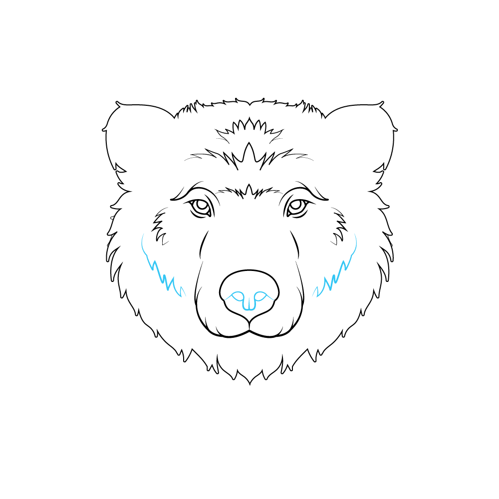 How to Draw A Bear Face Step by Step Step  7