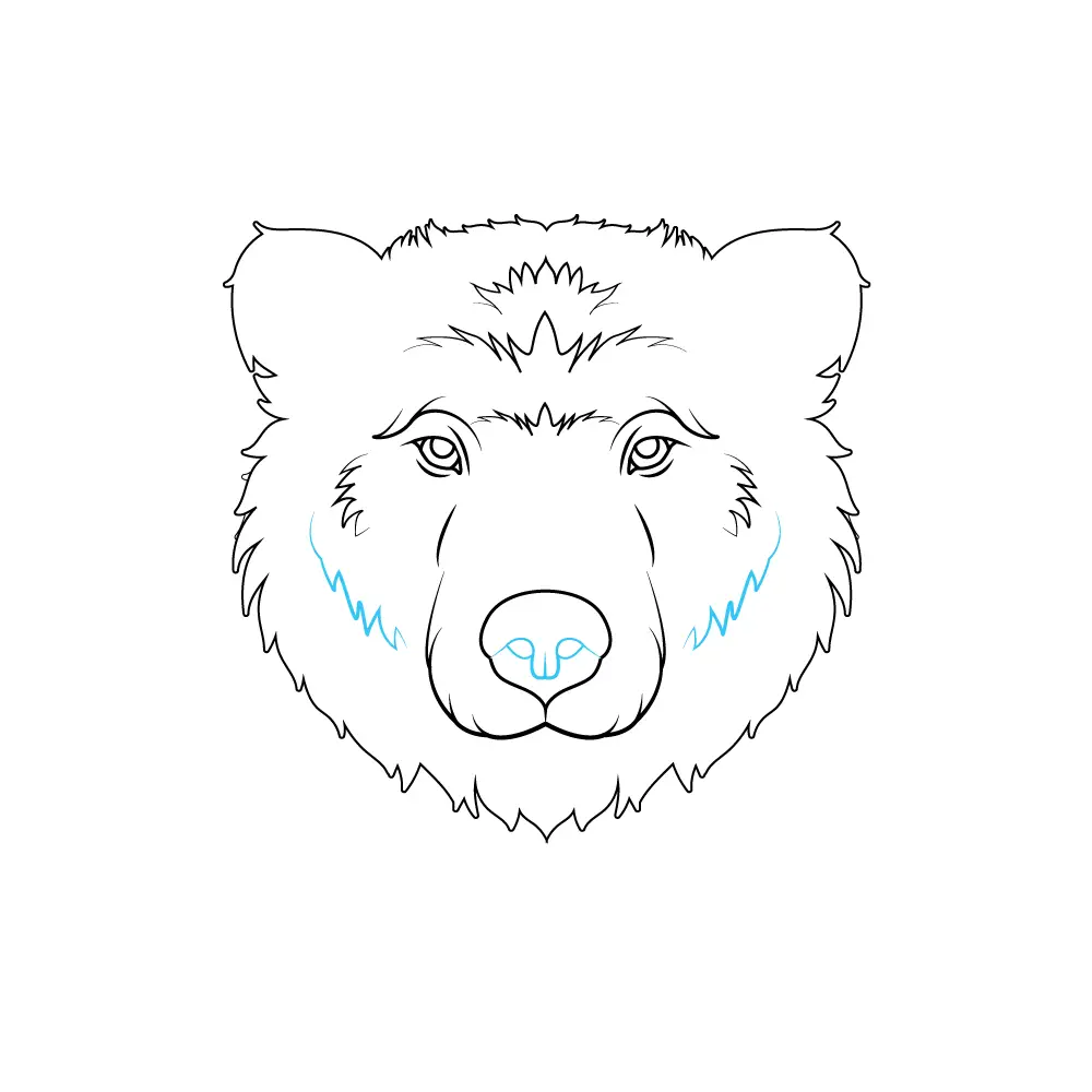 How to Draw A Bear Face Step by Step Step  7