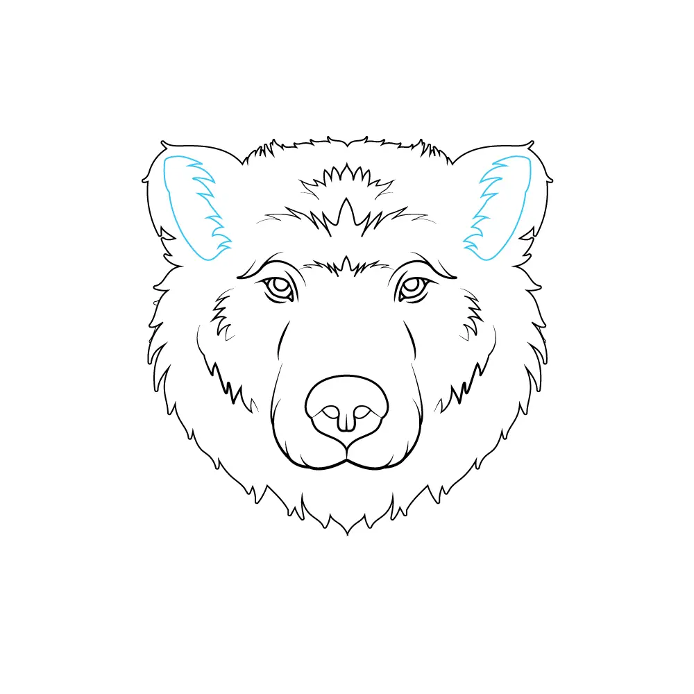 How to Draw A Bear Face Step by Step Step  8