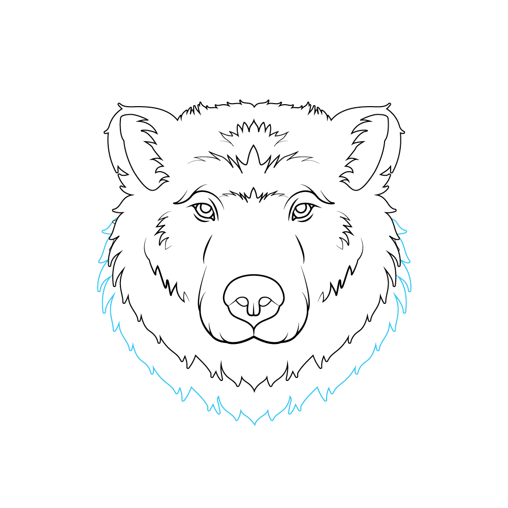 How to Draw A Bear Face Step by Step Step  9