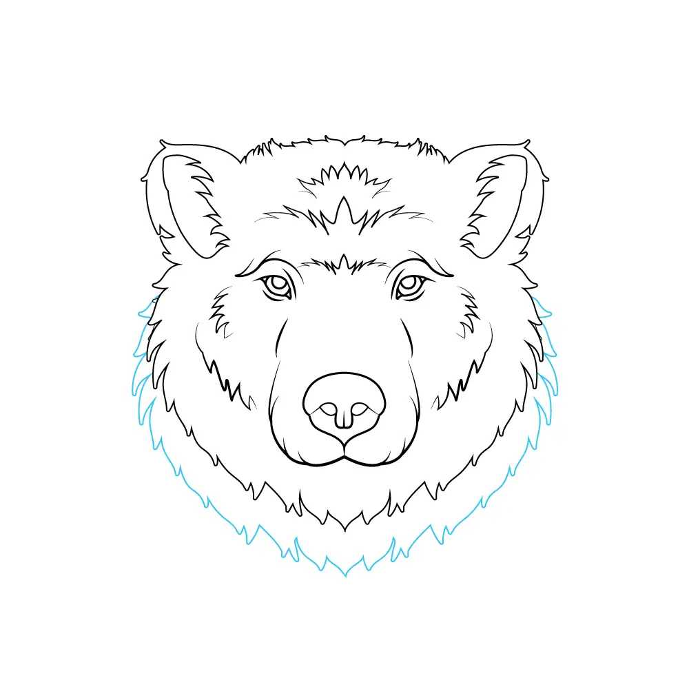 How to Draw A Bear Face Step by Step Step  9