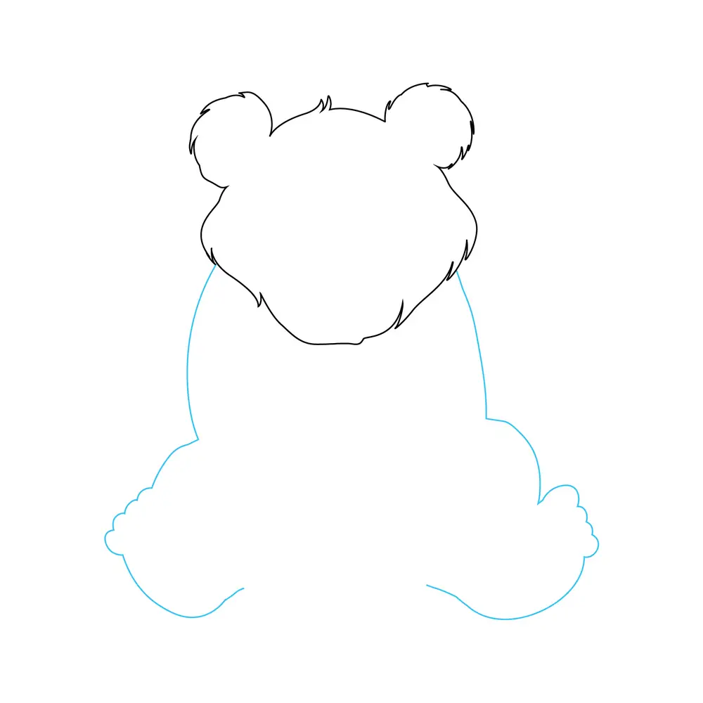 How to Draw A Bear Step by Step Step  2