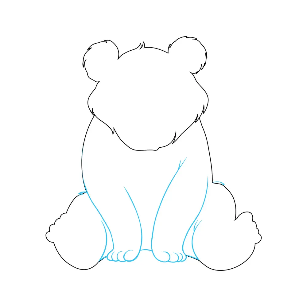 How to Draw A Bear Step by Step Step  3