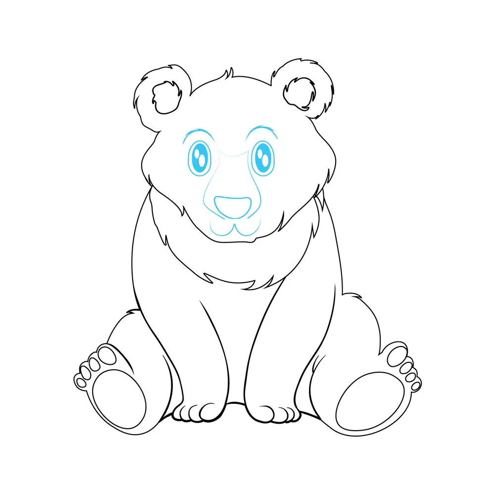 How to Draw A Bear Step by Step Step  6