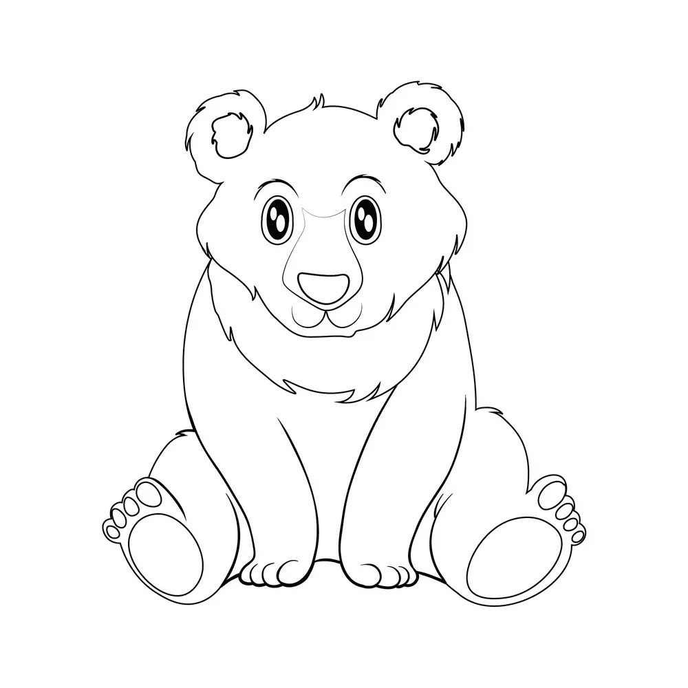 How to Draw A Bear Step by Step Step  7