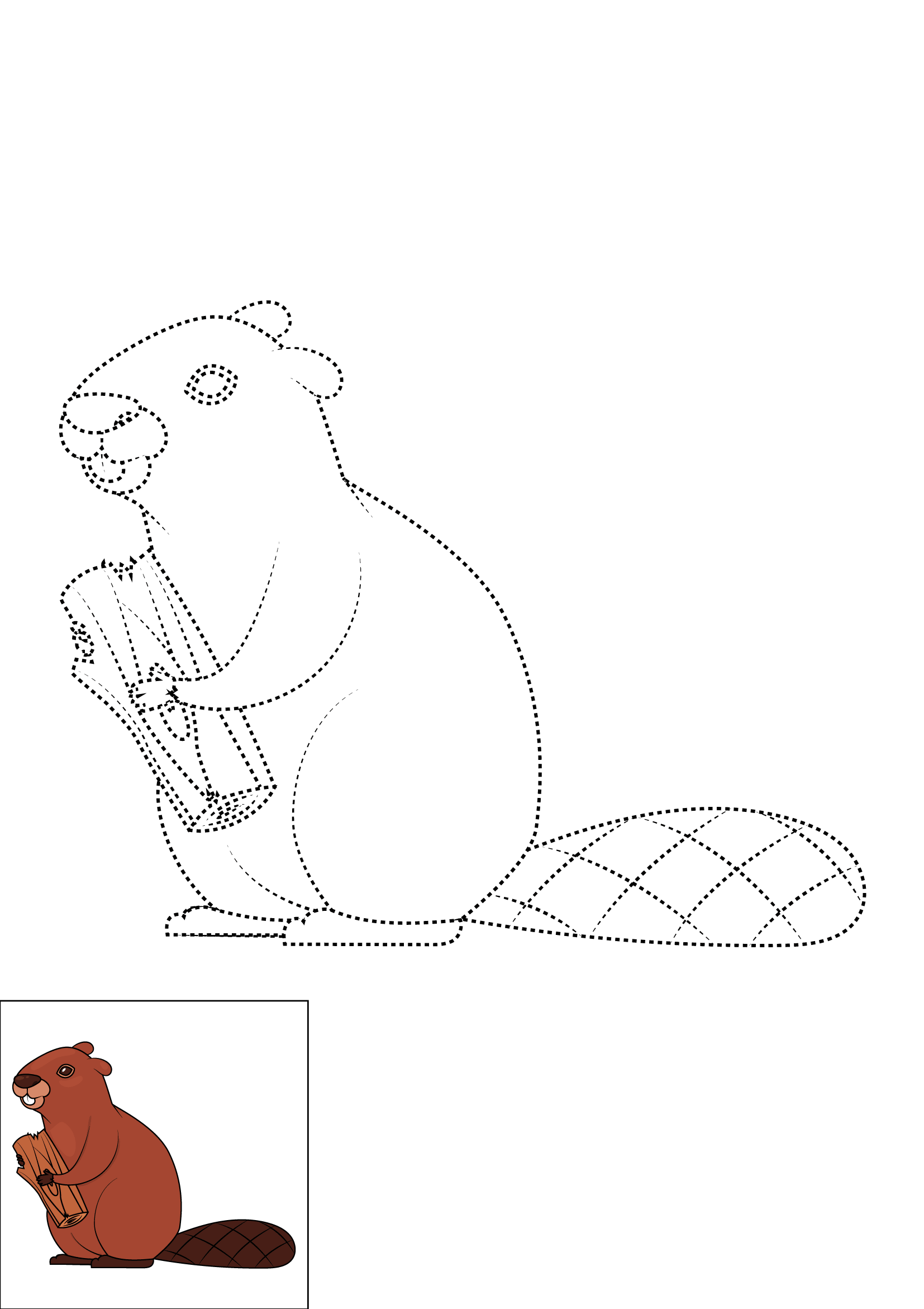 How to Draw A Beaver Step by Step Printable Dotted