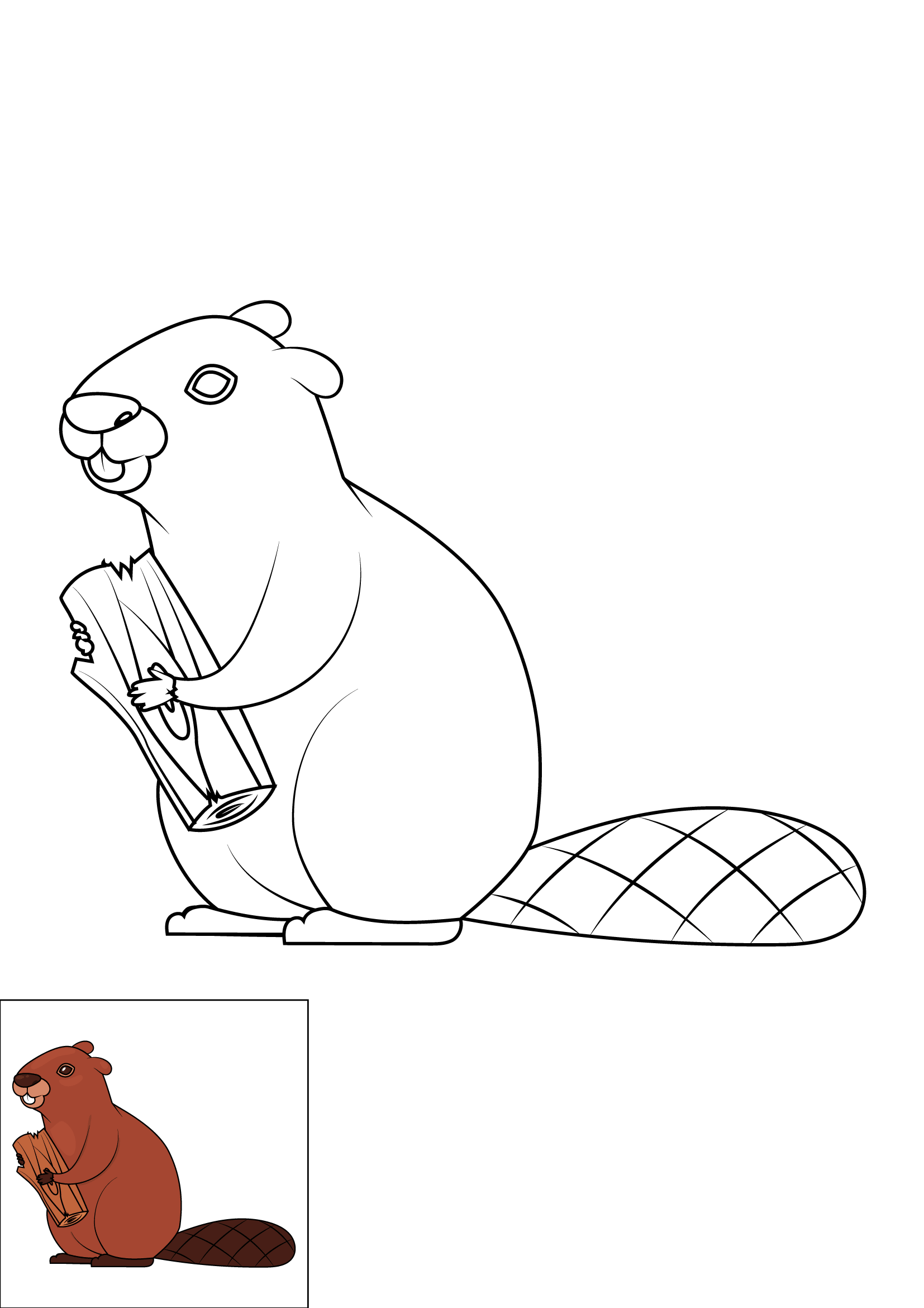 How to Draw A Beaver Step by Step Printable Color