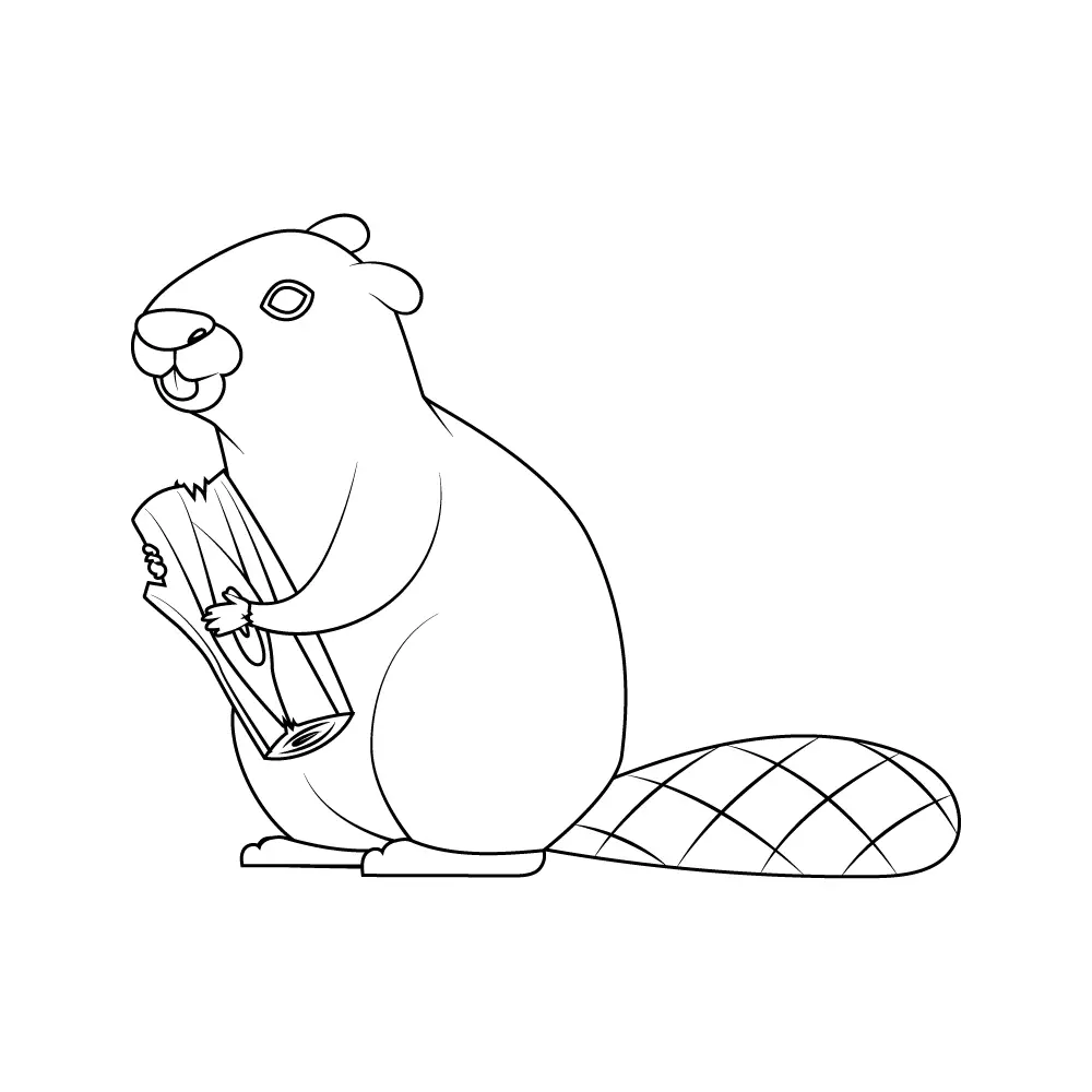 How to Draw A Beaver Step by Step Step  10