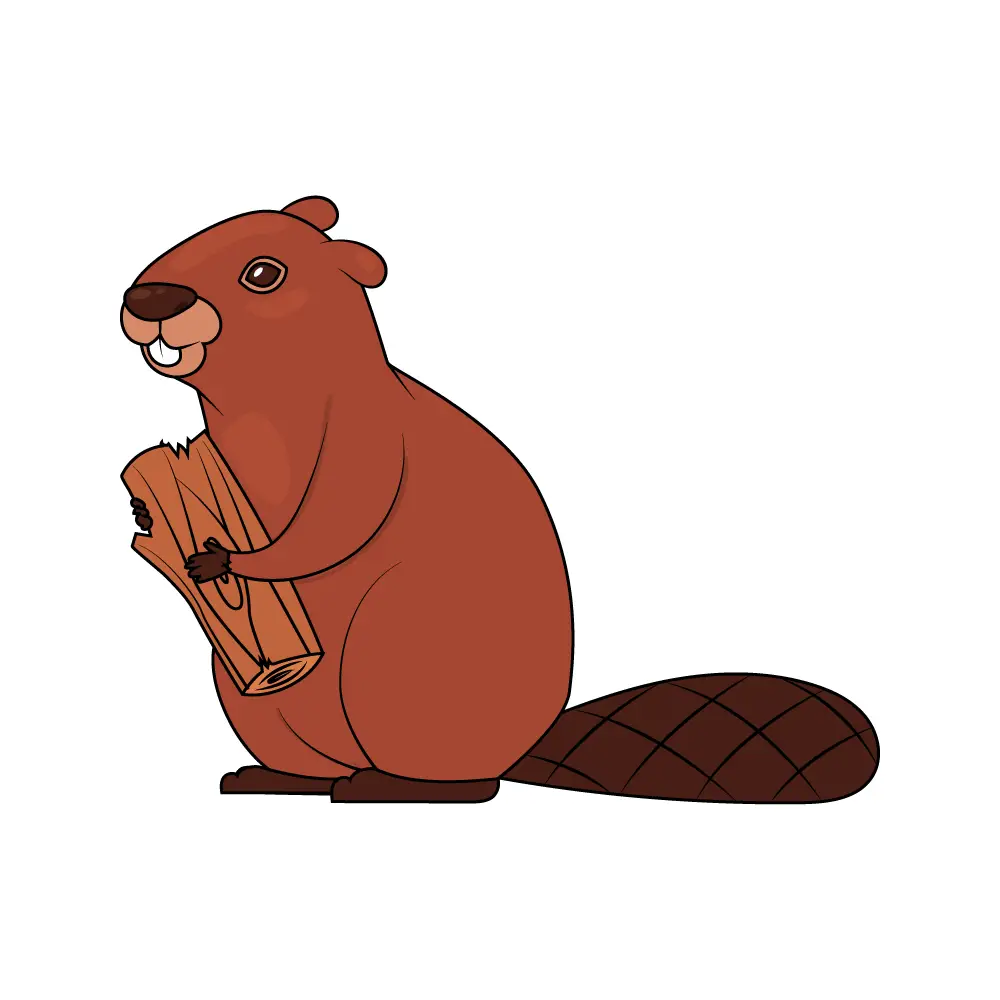 How to Draw A Beaver Step by Step Step  11