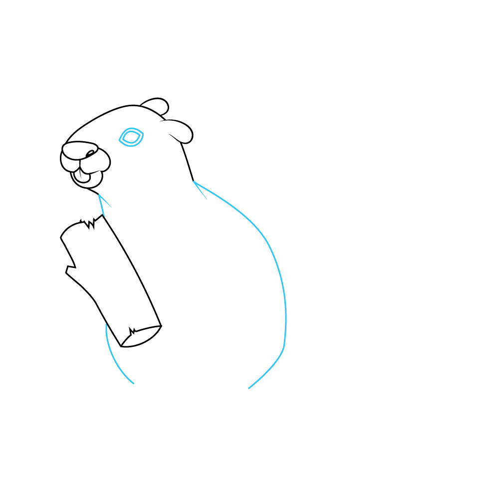How to Draw A Beaver Step by Step Step  5