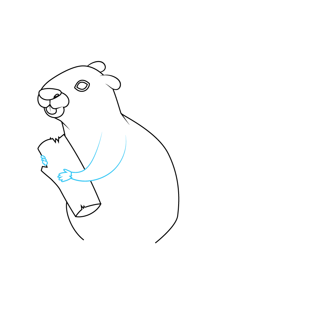 How to Draw A Beaver Step by Step Step  6