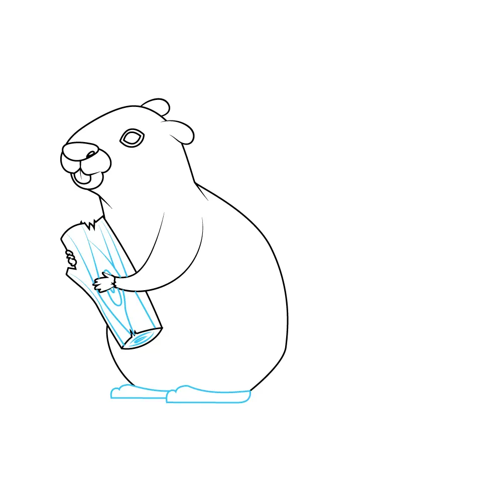 How to Draw A Beaver Step by Step Step  7