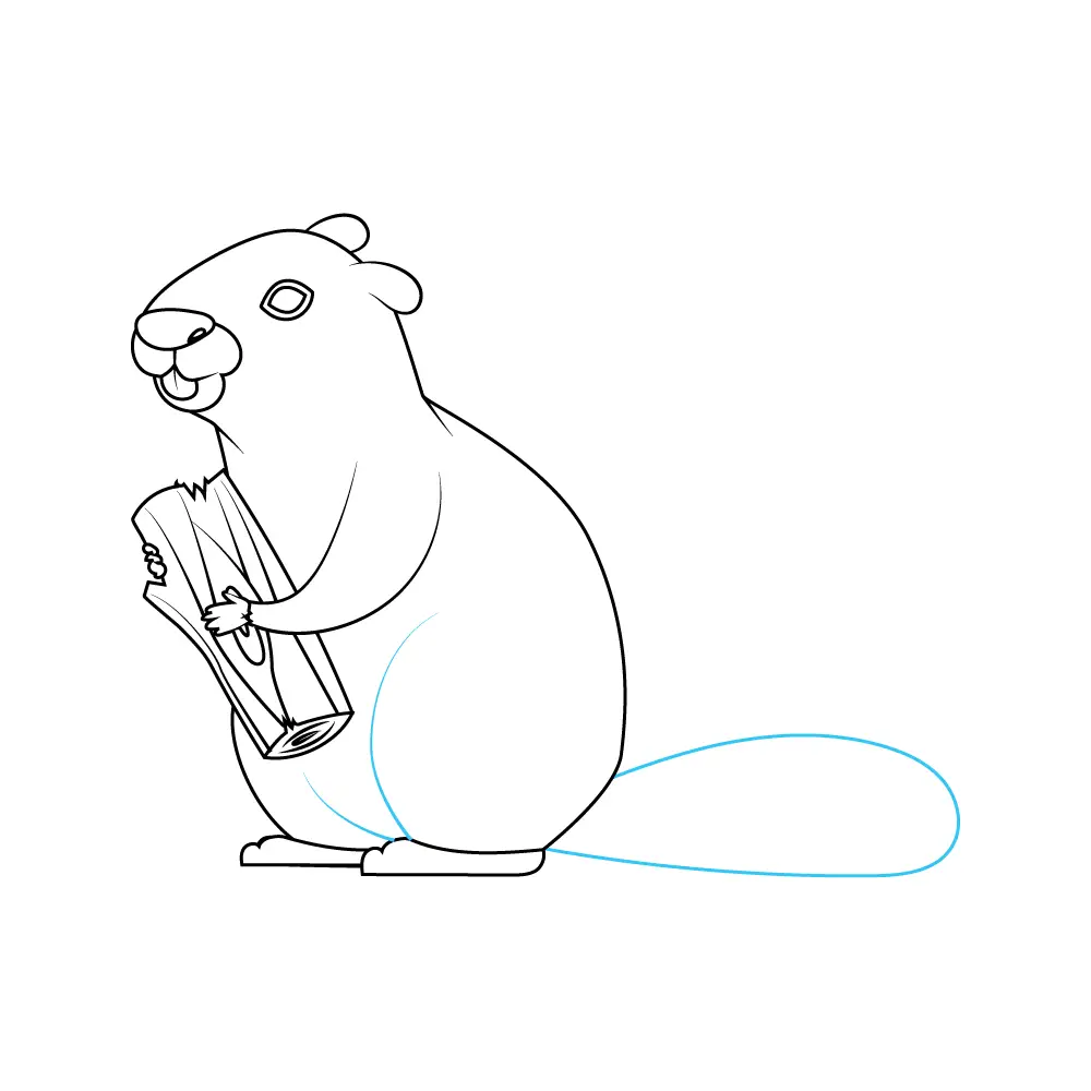 How to Draw A Beaver Step by Step