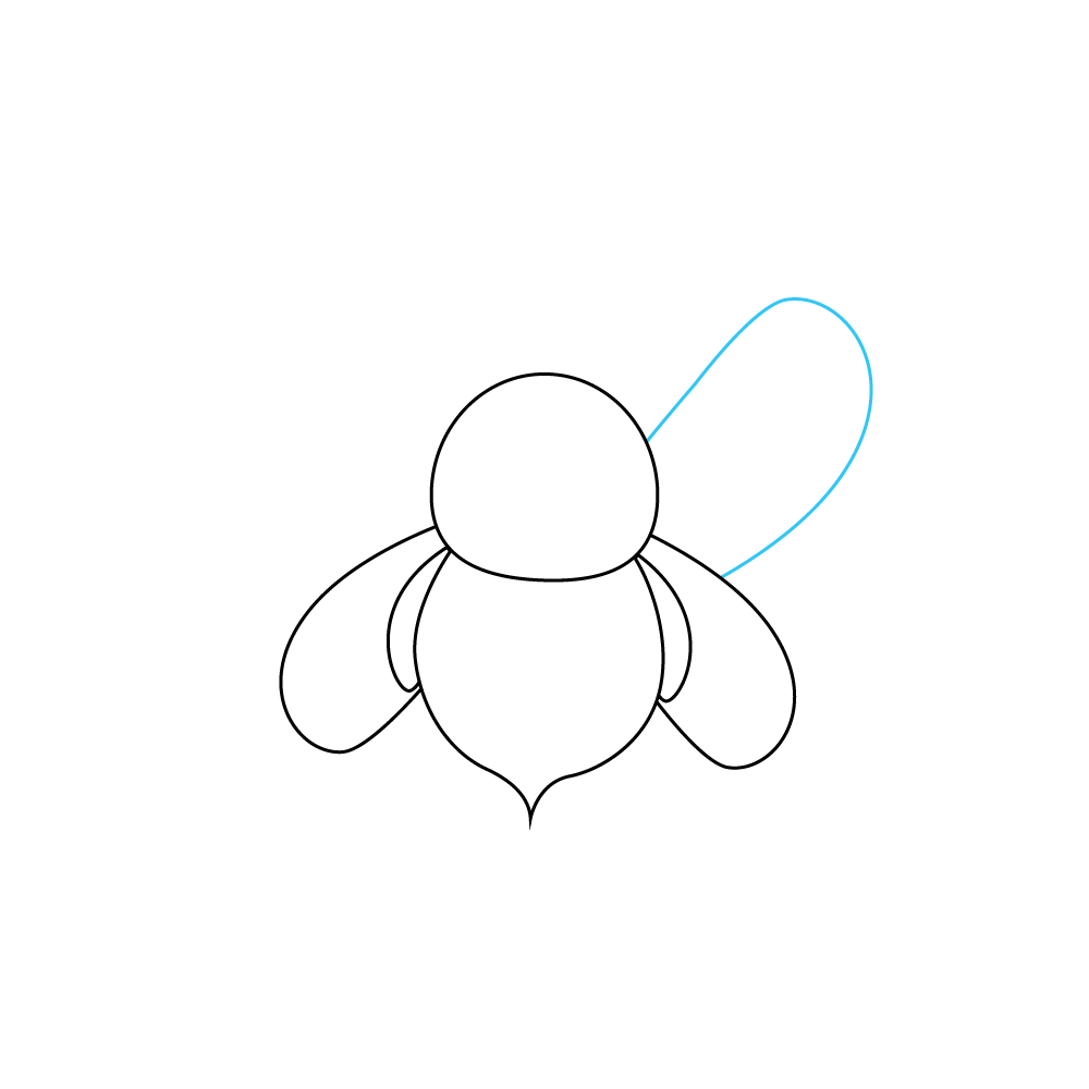 How to Draw A Bee Step by Step Step  5