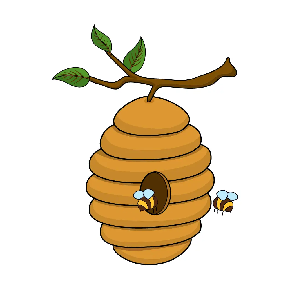 How to Draw A Beehive Step by Step Step  12