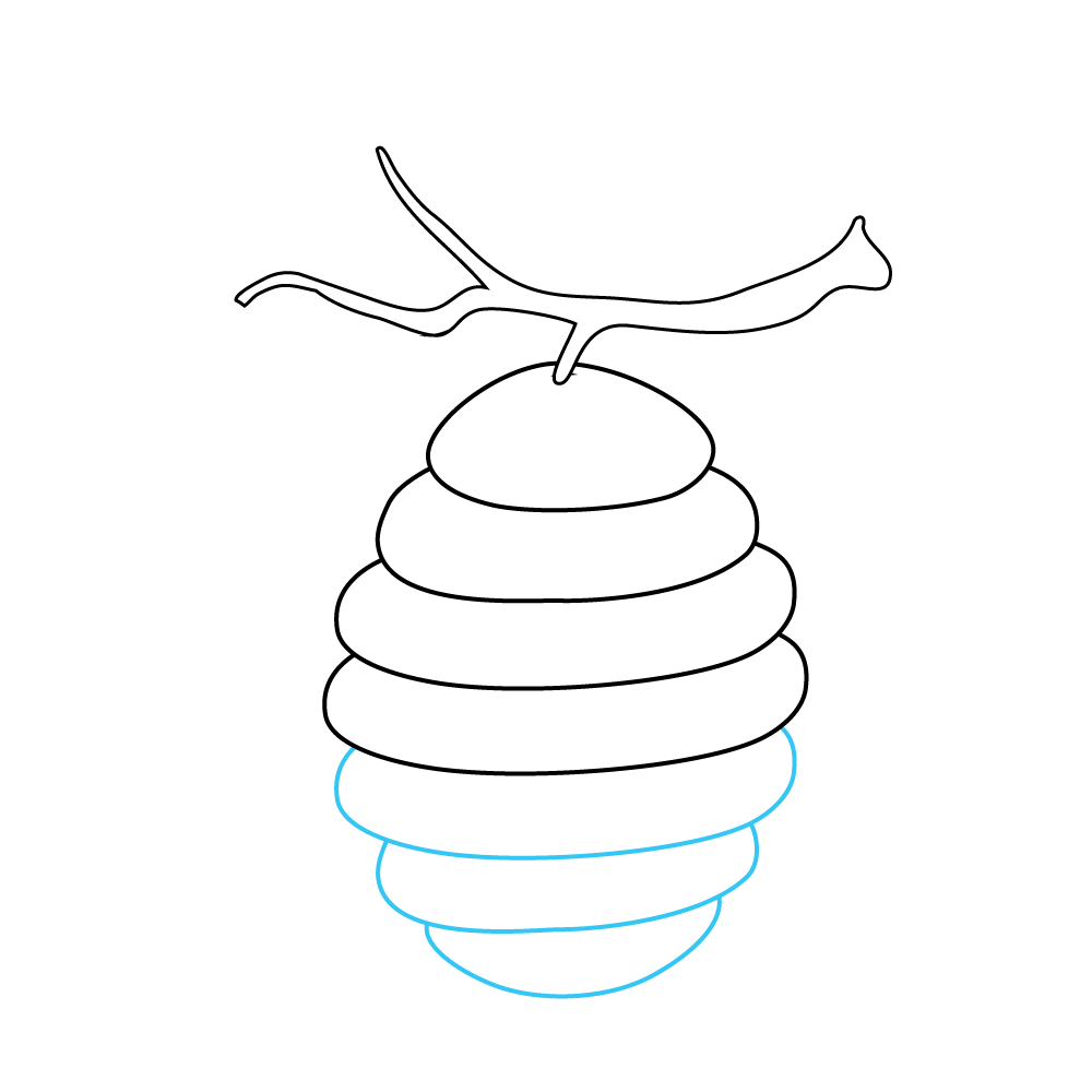 How to Draw A Beehive Step by Step Step  5
