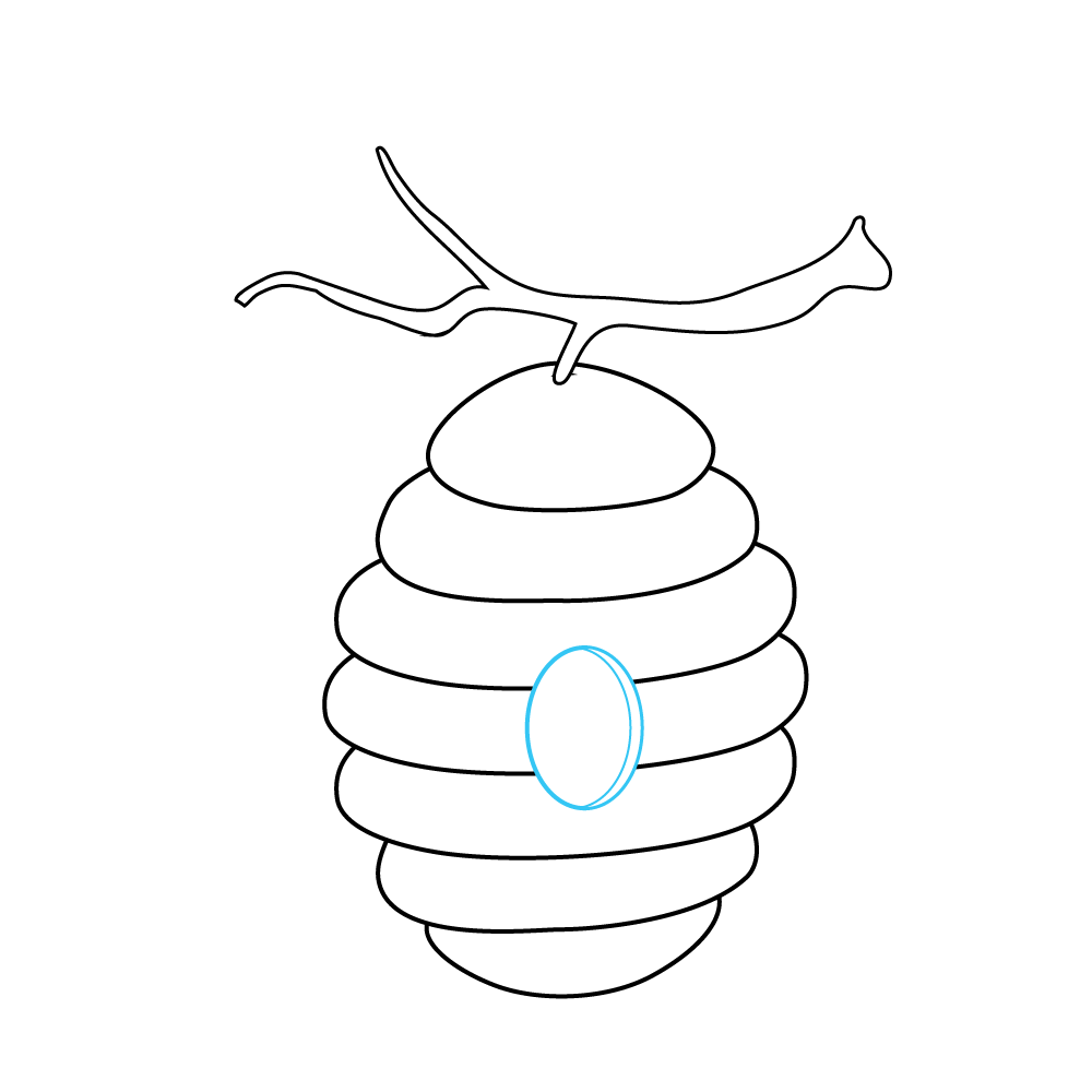 How to Draw A Beehive Step by Step Step  6