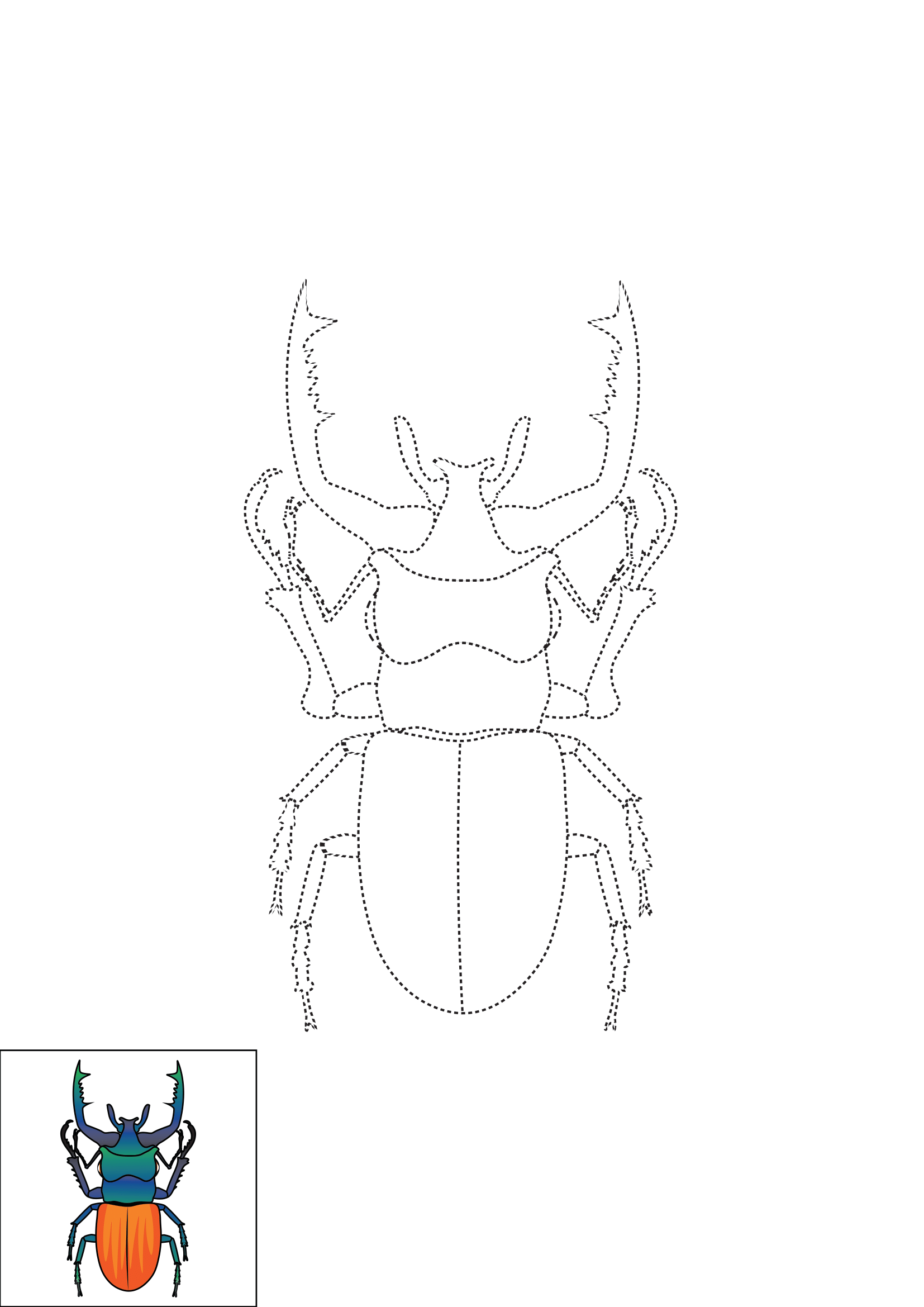 How to Draw A Beetle Step by Step Printable Dotted