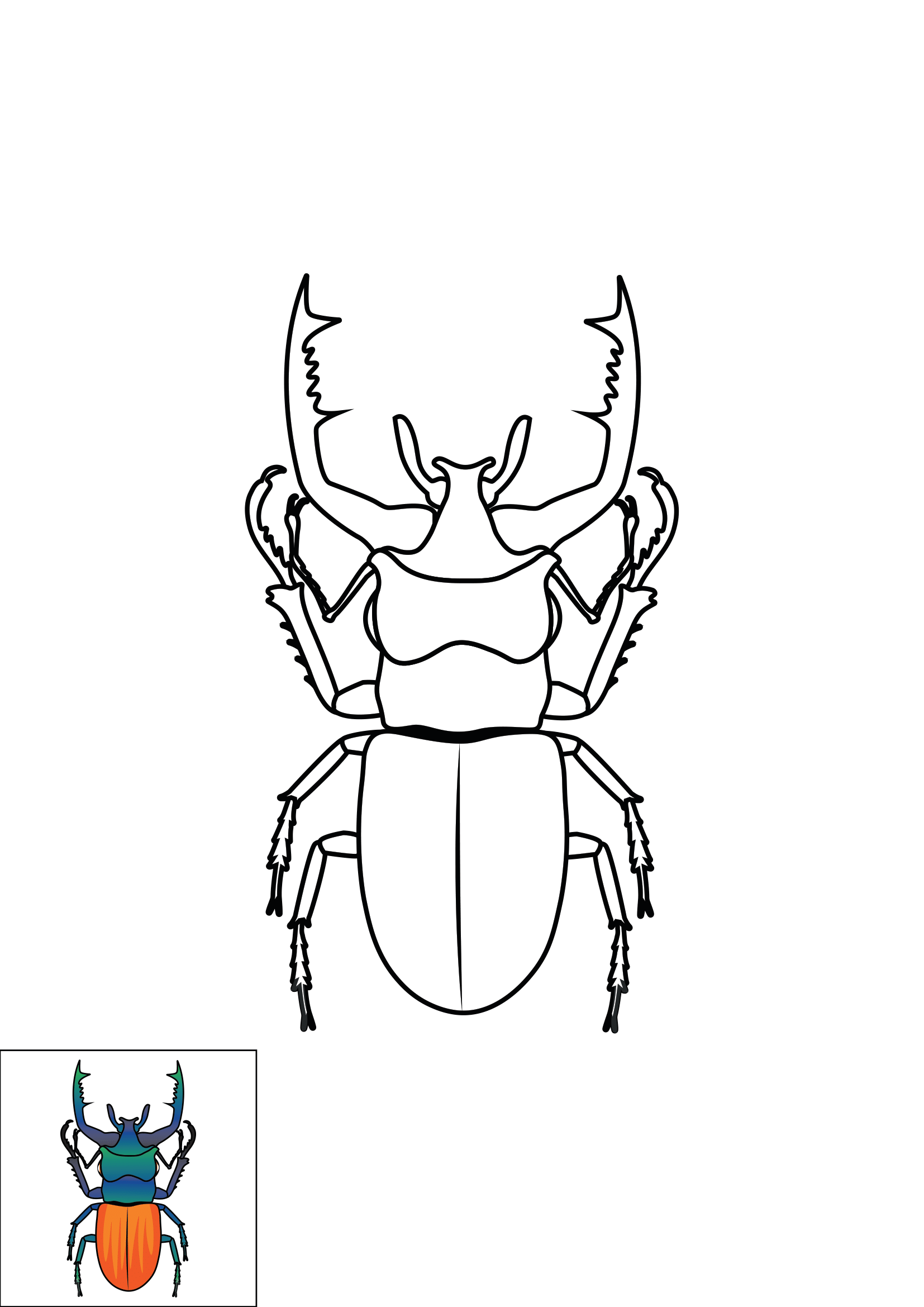 How to Draw A Beetle Step by Step Printable Color