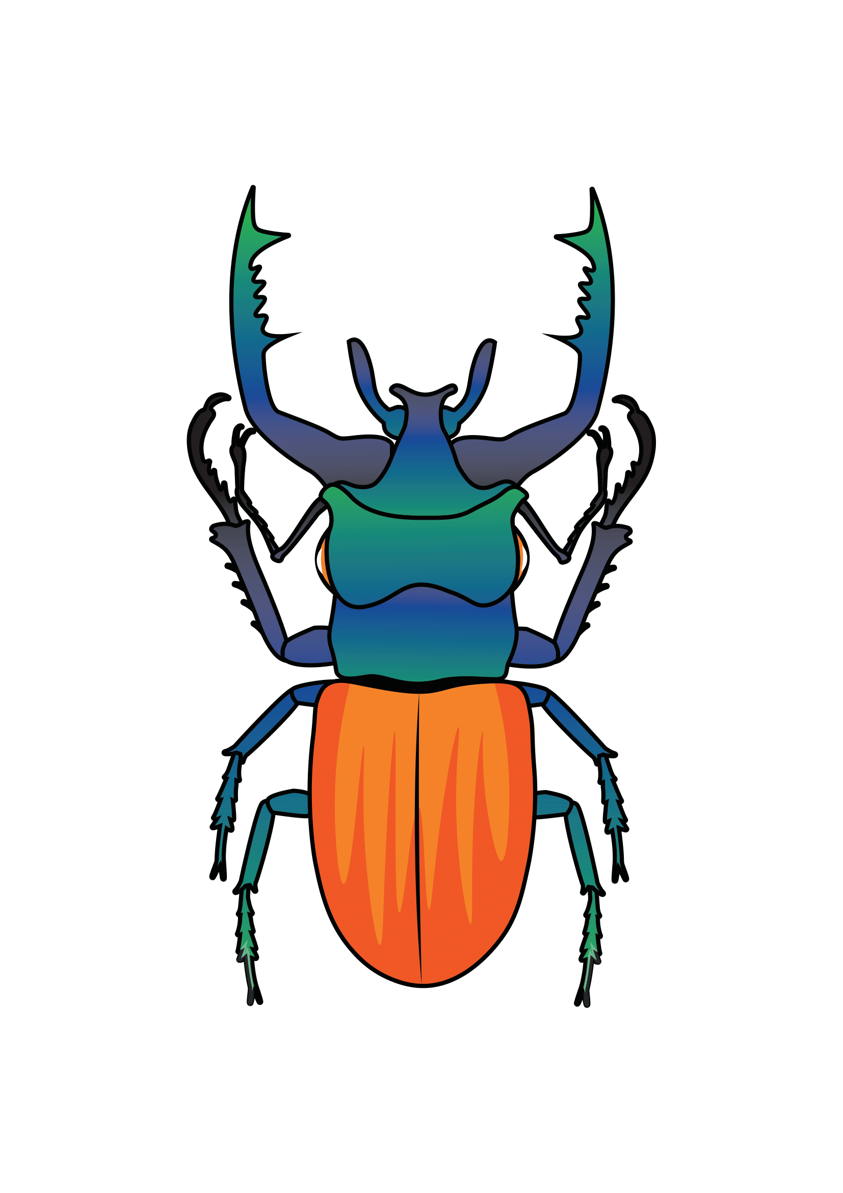 How to Draw A Beetle Step by Step Printable