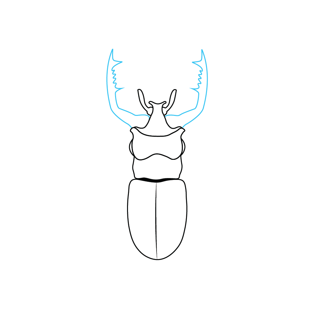 How to Draw A Beetle Step by Step Step  5