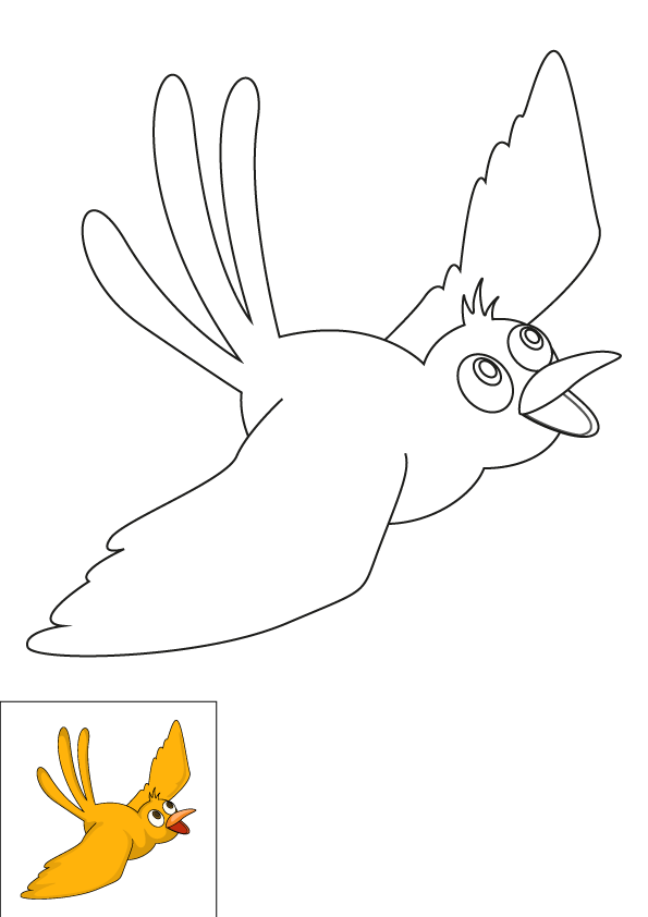 How to Draw A Bird Flying Step by Step Printable Color