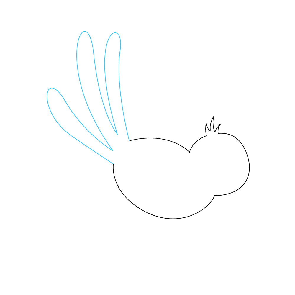 How to Draw A Bird Flying Step by Step Step  4