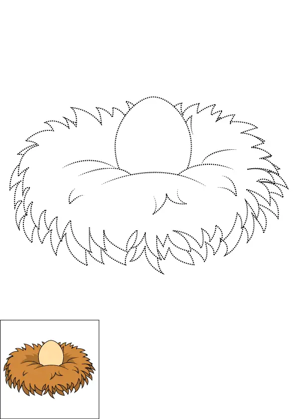How to Draw A Bird Nest Step by Step Printable Dotted