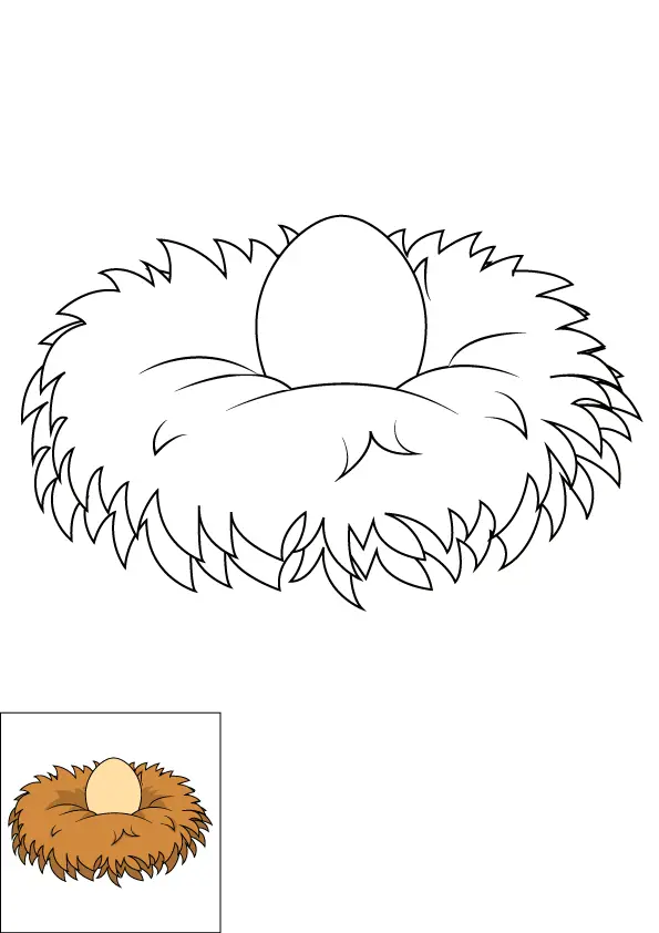 How to Draw A Bird Nest Step by Step Printable Color
