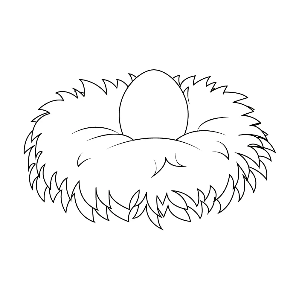 How to Draw A Bird Nest Step by Step Step  11