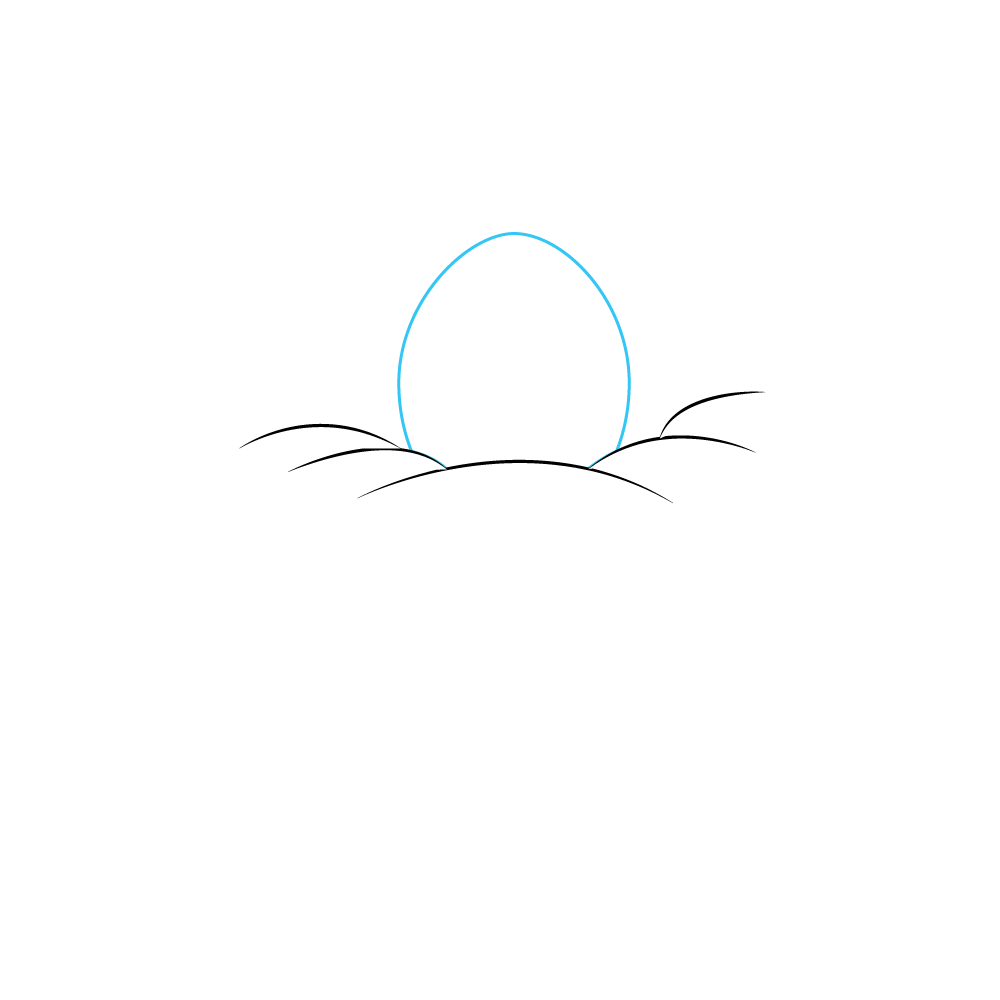 How to Draw A Bird Nest Step by Step Step  3