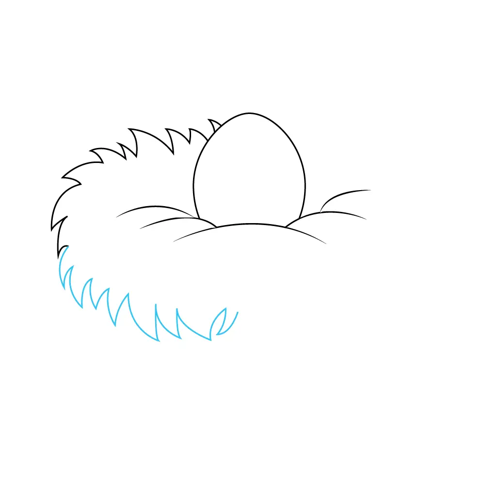 How to Draw A Bird Nest Step by Step Step  5