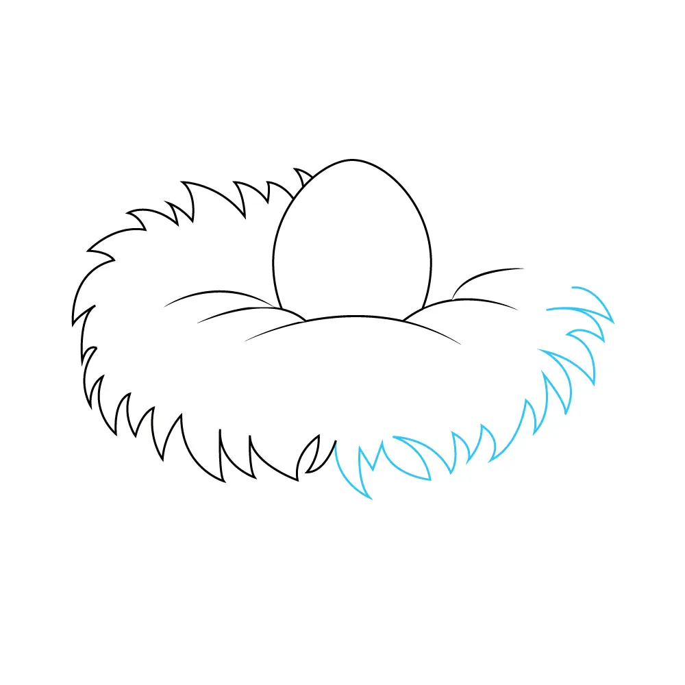 How to Draw A Bird Nest Step by Step Step  6