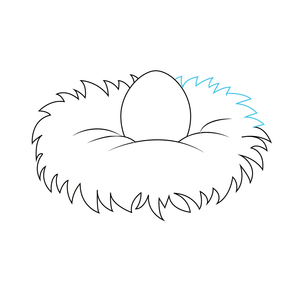 How to Draw A Bird Nest Step by Step Step  7